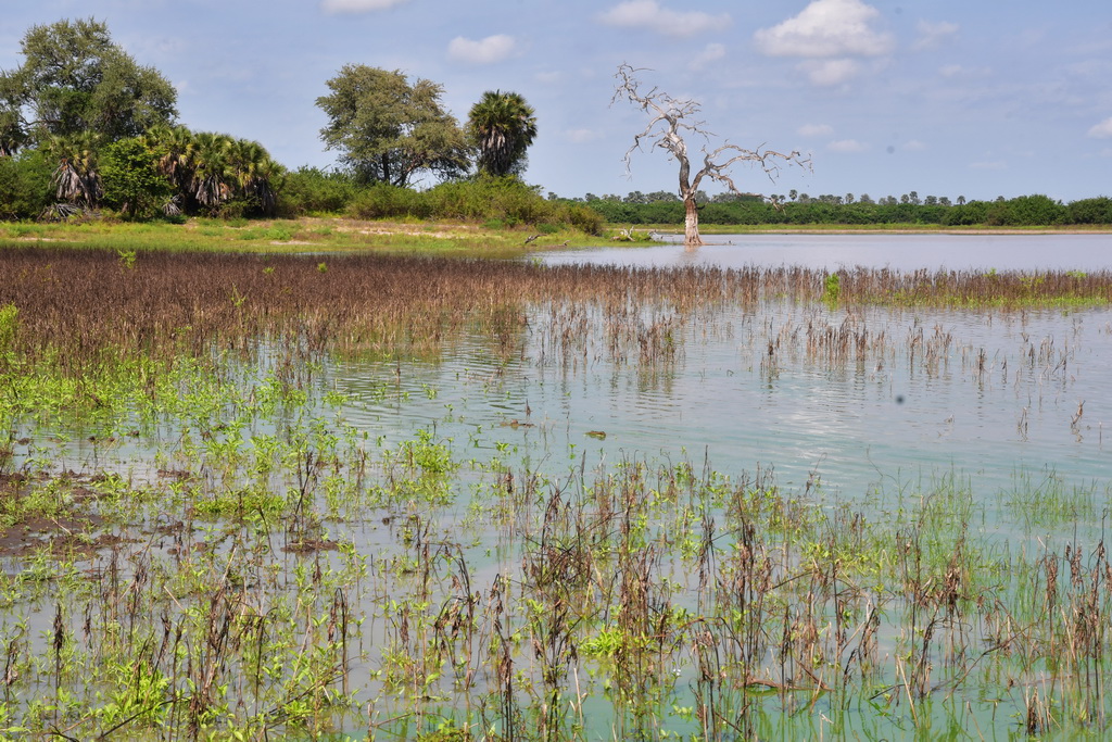 Selous NP